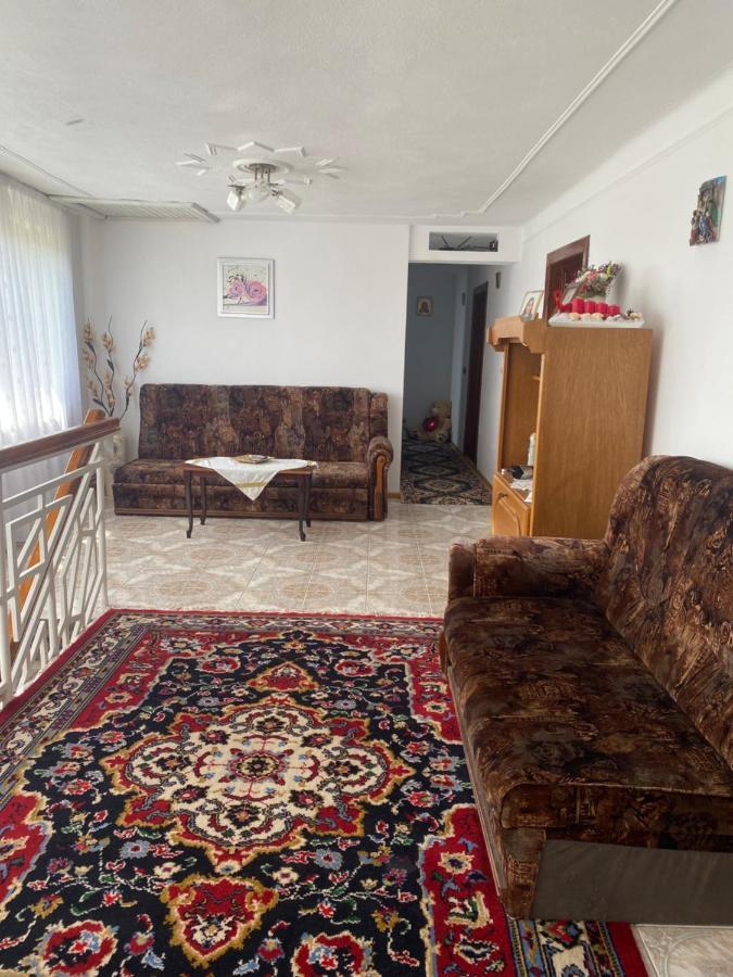 Pensiunea Angelica Baia de Fier Bagian luar foto
