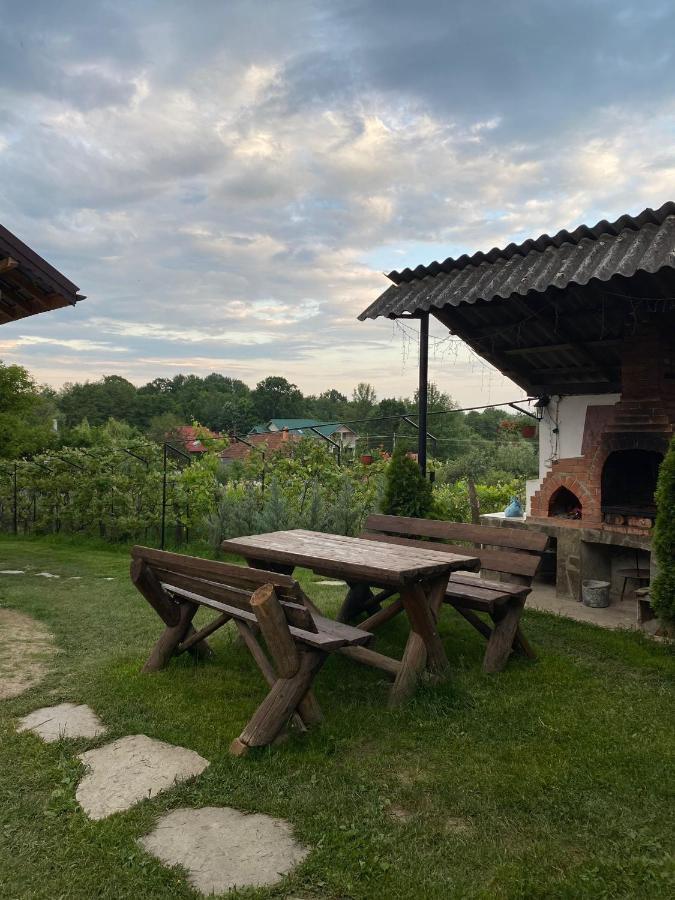 Pensiunea Angelica Baia de Fier Bagian luar foto